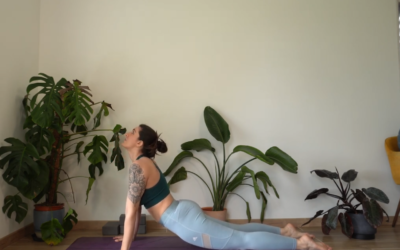 Tonifier tout le corps en 10mn