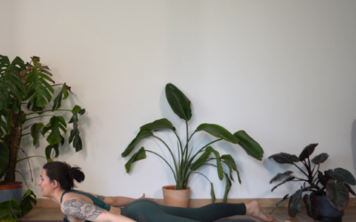 Déverrouiller la colonne et ouvrir le cœur