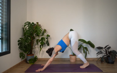 Mobilité active pour renforcer et allonger tout le corps