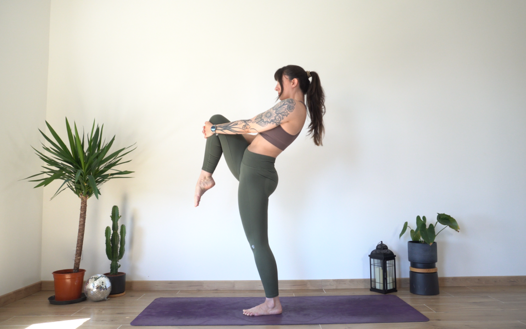 Souplesse & équilibre jambes (débutant)