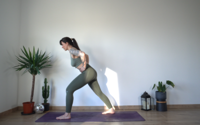 Leg sculpt mollets et chevilles (intermédiaire)