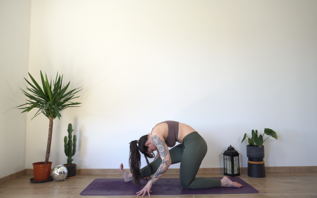 Relâcher les tensions du nerf sciatique (neurodynamie)