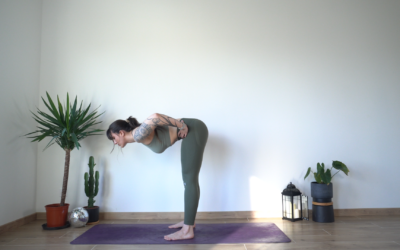 Redresser et soutenir la posture – good morning (débutant)
