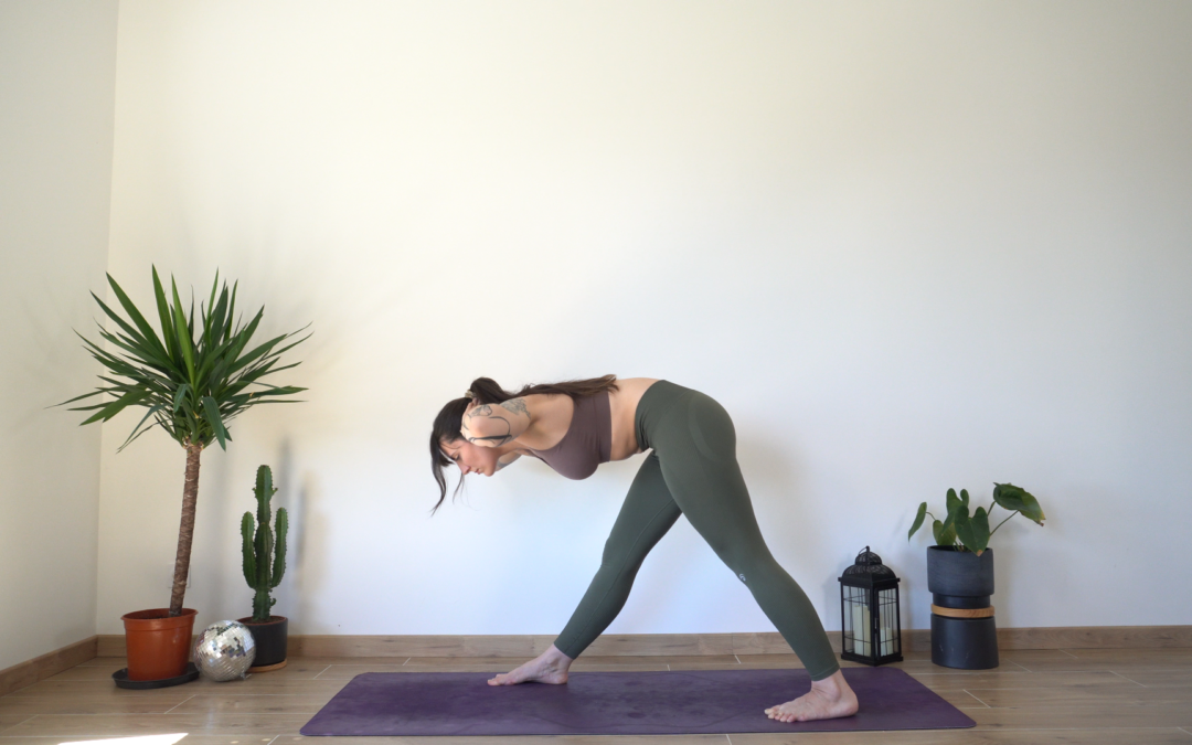 Assouplir l’arrière des jambes avec contrôle (intermédiaire)